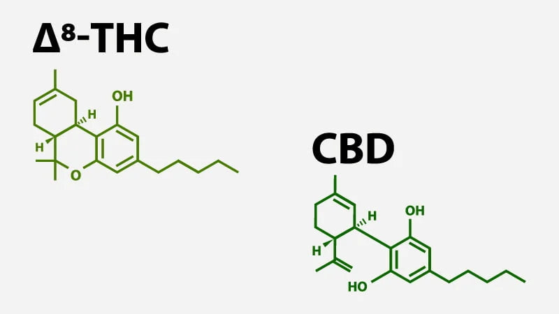 What's the Main Difference between Delta 8 and CBD?